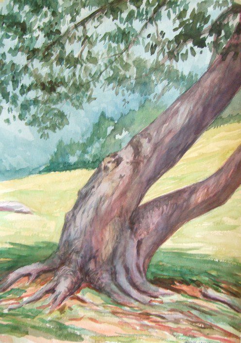 Aquarel·la sobre paper (51x36). Propietat Centre Residencial Montseny.