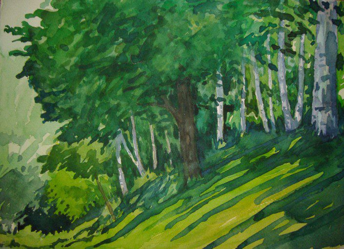 Aquarel·la sobre paper (xxxx).