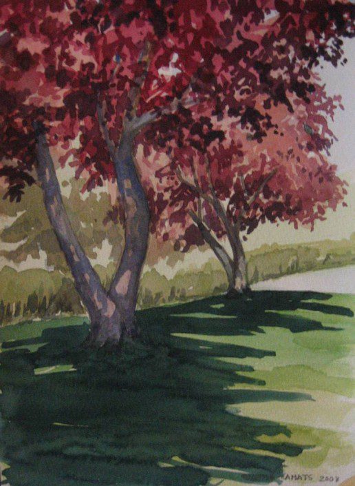 Aquarel·la sobre paper (xxxxx).