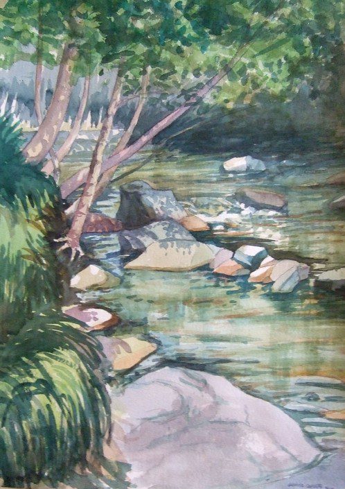 Aquarel·la sobre paper (51x36). Propietat de Centre Residencial Montseny.