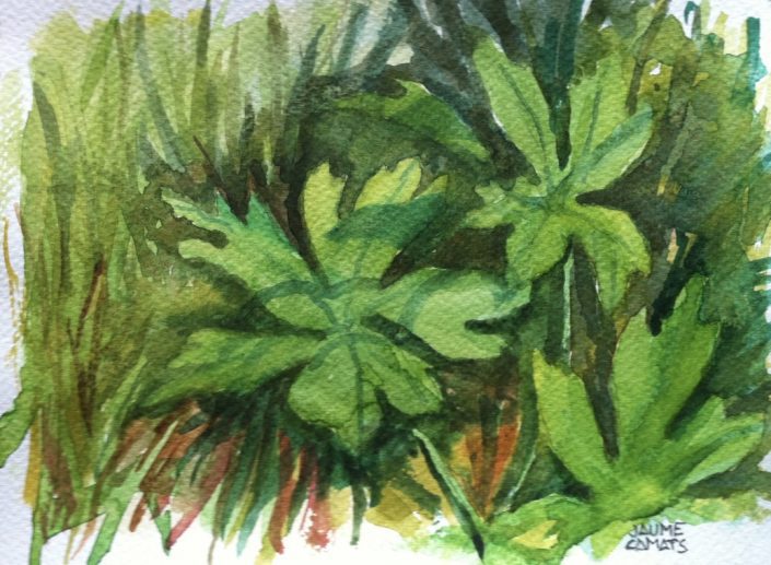 Aquarel·la sobre paper (15x20).