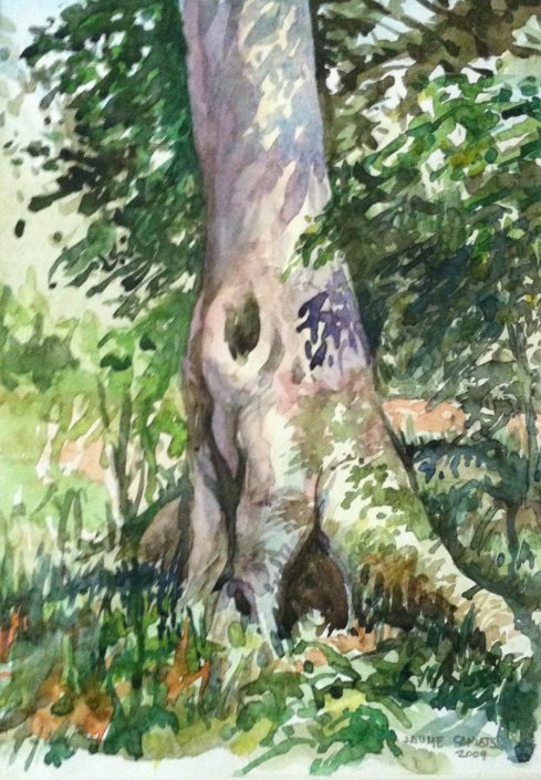 Aquarel·la sobre paper (51x36). Propietat de Tomàs Cortada.