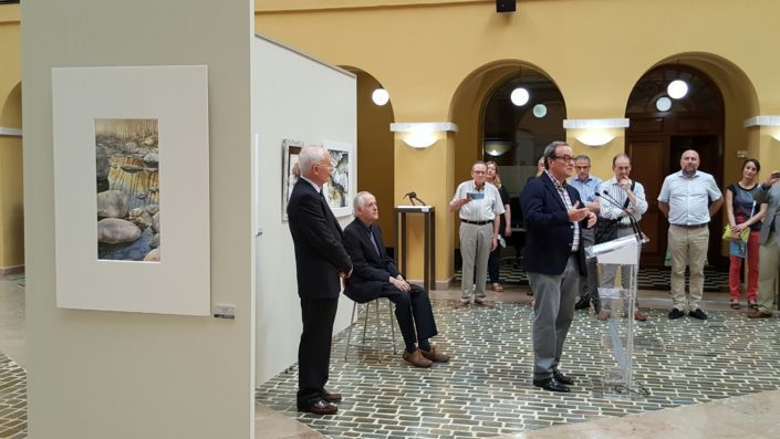 Inauguració de la exposició "Aigües i moviment" a la Diputació de Tarragona el 16-6-17.