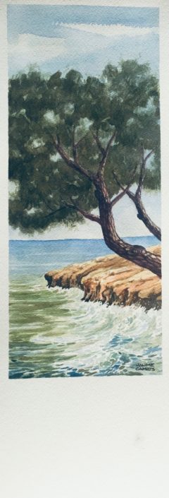 Aquarel·la sobre paper (39x12). Propietat de Montse Roca.