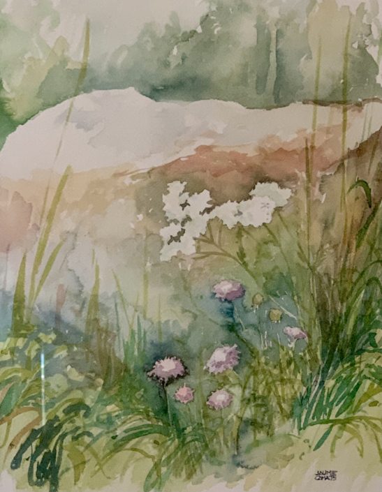 Aquarel·la sobre paper (51x36). Propietat Srs. Jiménez - Civit