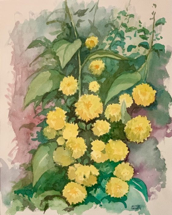 Aquarel·la sobre paper (51x36). Propietat Srs. Jiménez - Civit