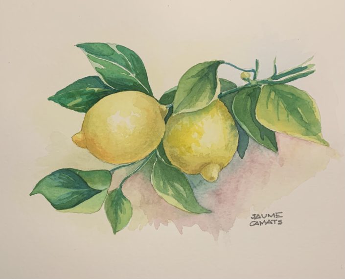 Aquarel·la sobre paper (24X32). Propietat dels Srs. Hinojo - Albiñana.