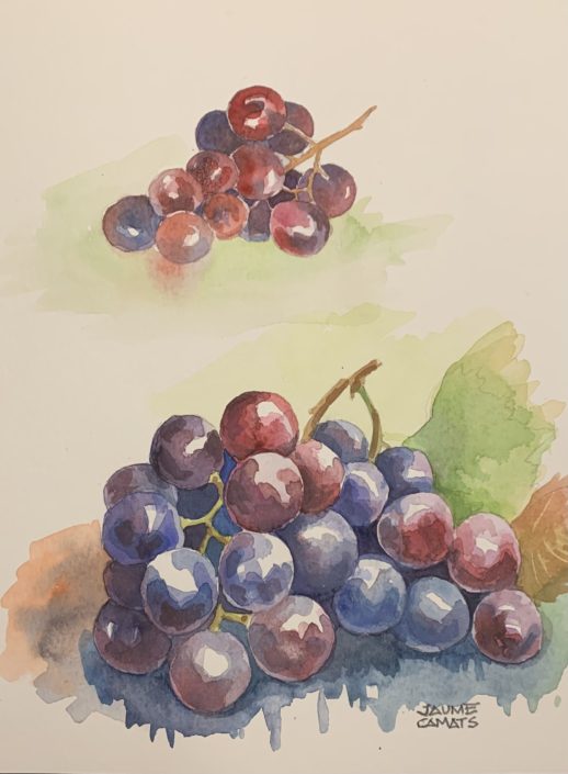 Aquarel·la sobre paper (32x24). Propietat de Carme Peñas.
