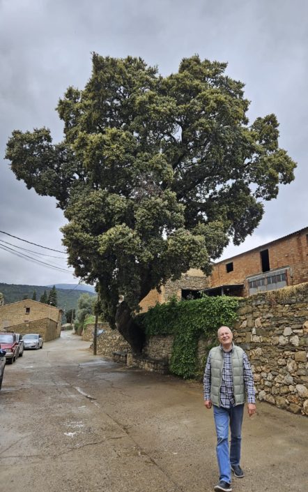 El Montsec guarda tresors...